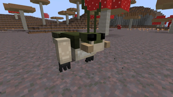 mole cricket