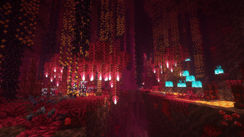 Nether