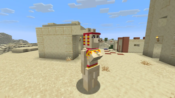 Intresting Llama