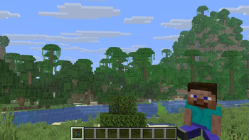 With Default Skin
