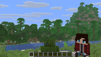 With Custom Skin