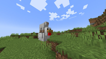 Sheep