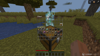 Chest