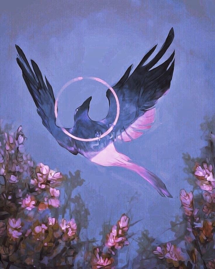arcanature