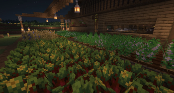 Flowering Crops