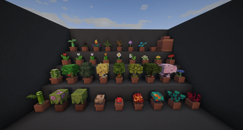 Potted Plants