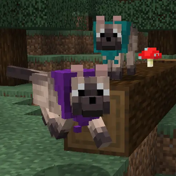 Adventure Buddies!