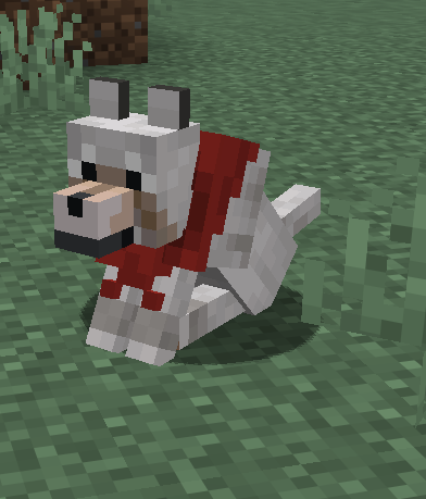 Doggo + Bandana = Cuteness Overload