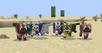 A Rainbow Of Possibilities (And Doggos)