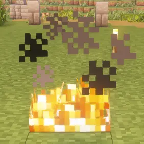 fire on ground