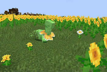 Yellow Flower Meganium