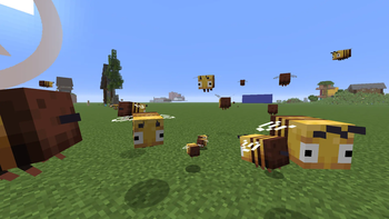 Bees