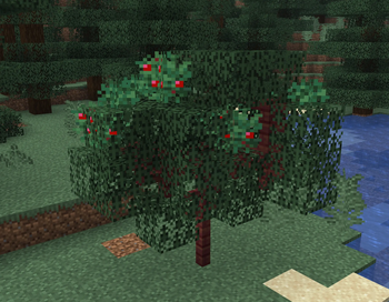 Sweet Berry Tree