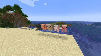 Pig Colors