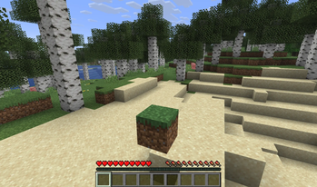 Block Disguise