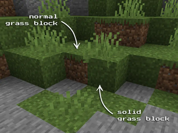 Solid Grass Block