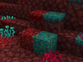 Nether Blocks