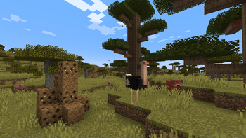 Savanna Updated