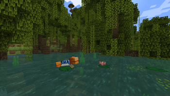 Mangrove Swamp Updated