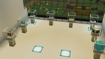 Multiple Display Cases