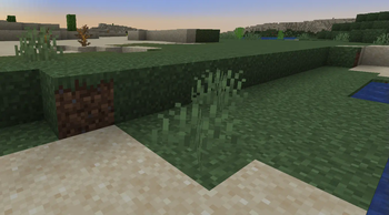 OptiFine fancy grass