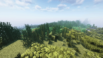 A new biome