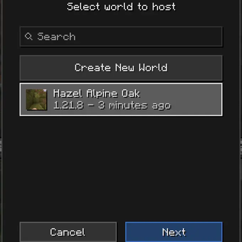 Play Online with Friends on you World!