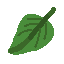gneiss leaves