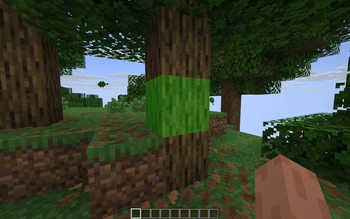 Block Fill Setting