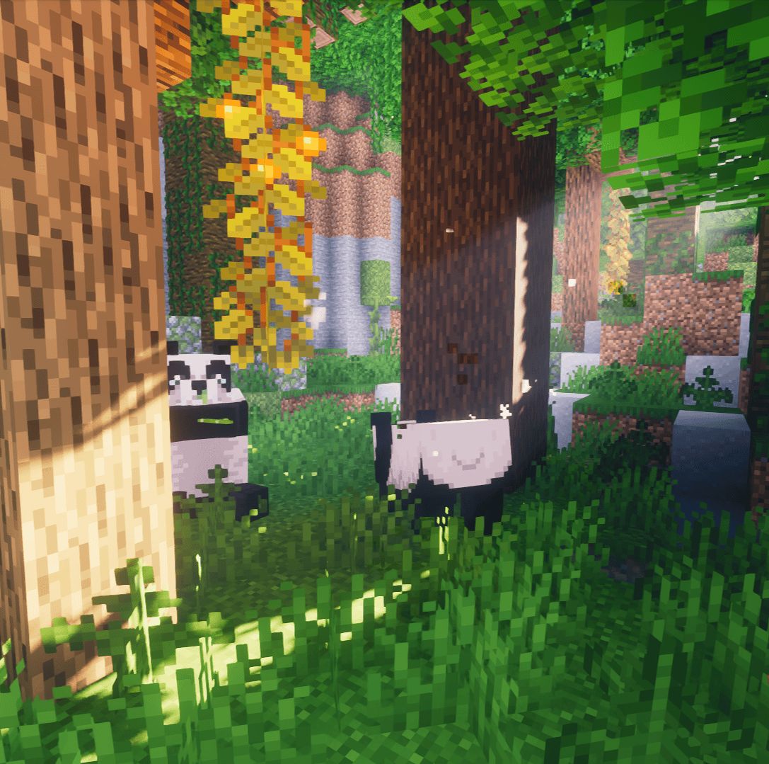 Panda's Spruce Biome!