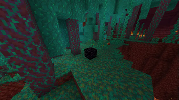 Nether