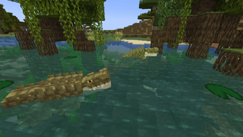 3 variants of crocodile in one location