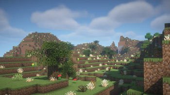 Mediterranean Scrubland