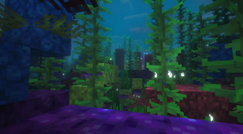 Coral Forest
