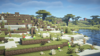 Shrubland