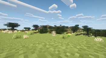 Mediterranean Scrubland