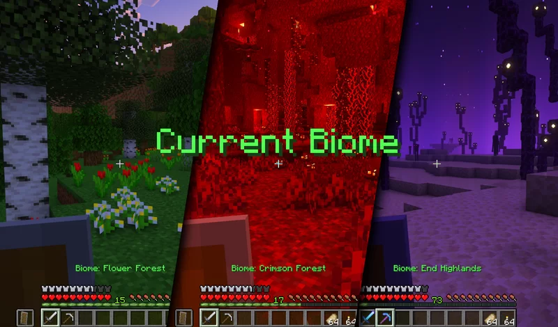 See your current biome!