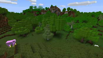 oak woods