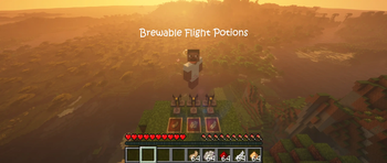 Vanilla Friendly Flight Potions [21:9]