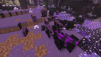 Ender Animals