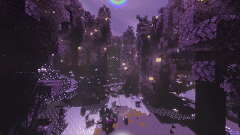 Amethyst Forest