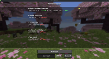tailnet devices