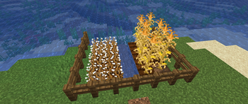 Crops