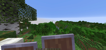 Small Sheild