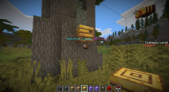 Pandora ReForged