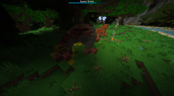 Pandora ReForged