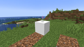shards
