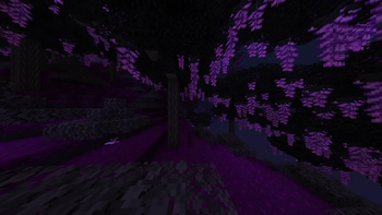 Gloaming Grove