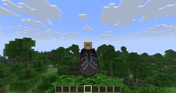 Player Model