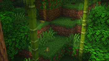 Jungle